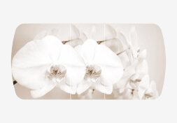 Стол раздвижной Бостон-3 Лунная орхидея (Триумф)